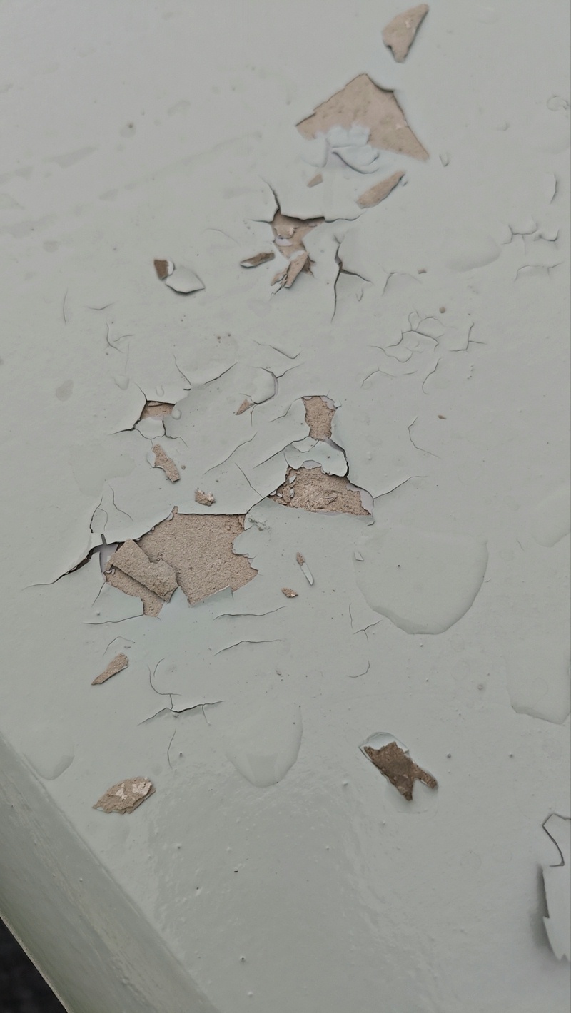 傳統(tǒng)涂料發(fā)霉剝落問(wèn)題示例