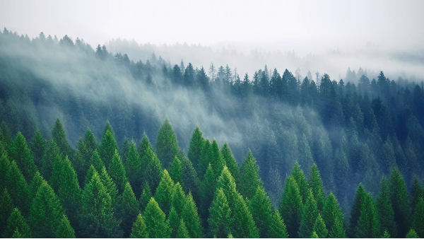 千年礦物的新生：百適涂讓現(xiàn)代建筑回歸自然本真