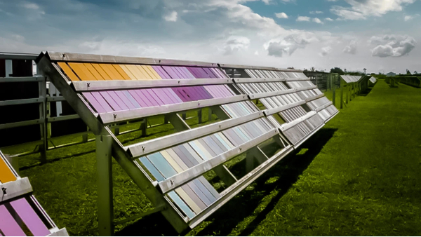 實驗室極限挑戰(zhàn)!百適涂無機(jī)涂料 硬核性能實測，結(jié)果太意外!