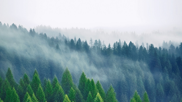 無(wú)機(jī)涂料的全生命周期綠色理念