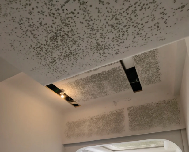 傳統(tǒng)材料霉變對比