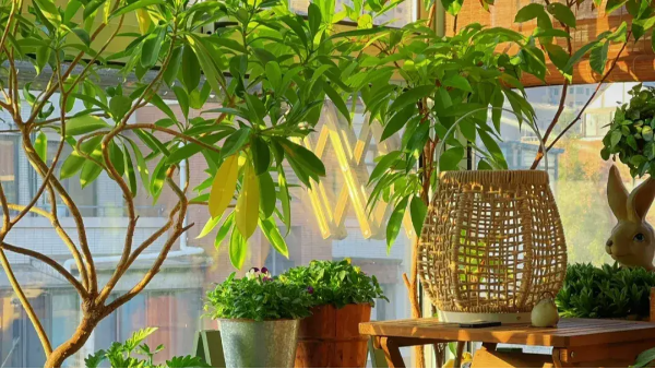 告別裝修污染！百適涂無機涂料：無味防霉，守護家人健康呼吸