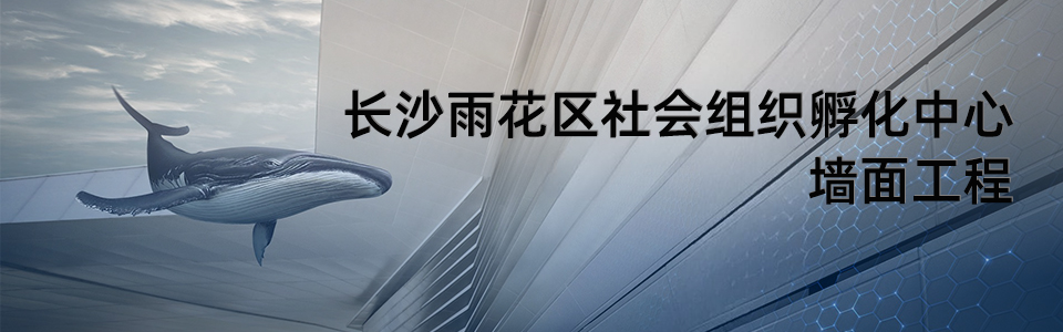 長(zhǎng)沙雨花區(qū)社會(huì)組織孵化中心外觀