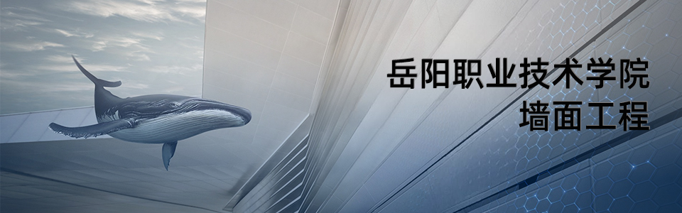 岳陽職業(yè)技術(shù)學(xué)院校園全景