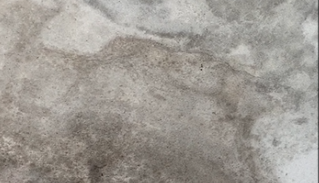 無(wú)機(jī)涂料防墻面發(fā)霉真的有效嗎？