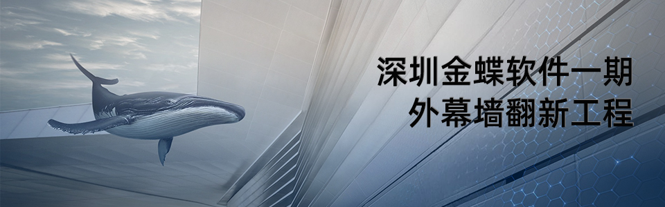 深圳金蝶軟件一期外幕墻翻新
