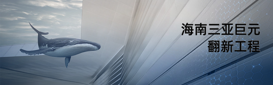 海南三亞巨元外觀