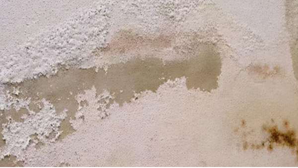 外墻泛堿難題如何破解？百適涂無(wú)機(jī)涂料提供長(zhǎng)效防護(hù)方法