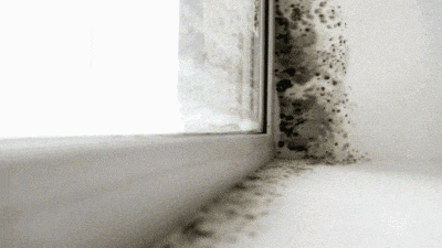 霉菌對(duì)人體危害示意圖