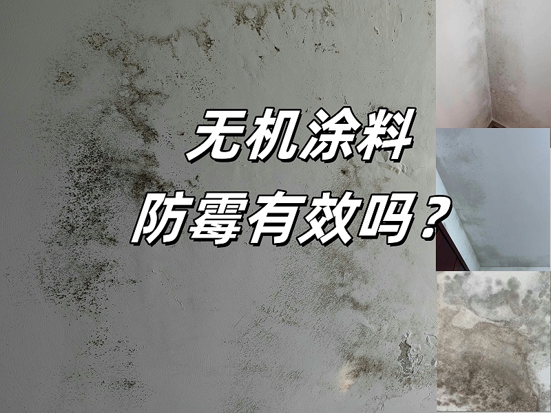 墻面發(fā)霉對比圖