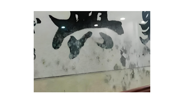 書畫掛墻如何防潮防霉？百適涂無機涂料防霉效果如何？不看后悔！